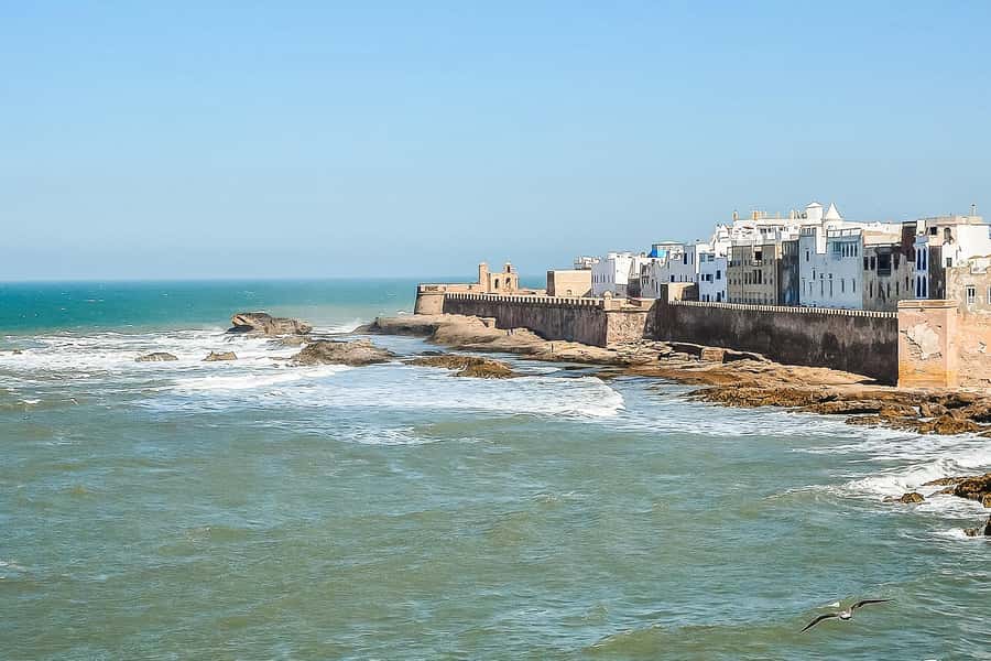 From Marrakech: Essaouira Day Tour with Optional Activities - Lunch Near the Harbor: Plan to Pay, Then Enjoy the Fish