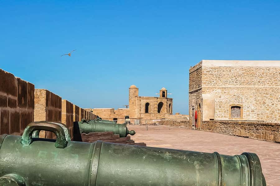 From Marrakech: Essaouira Day Tour with Optional Activities - Price and Value: Why $21 Can Work if You Plan Like a Local