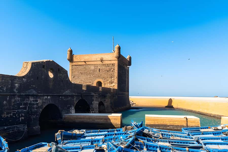 From Marrakech: Essaouira day Trip with camel, horse & quad - Key Things To Know Before You Book
