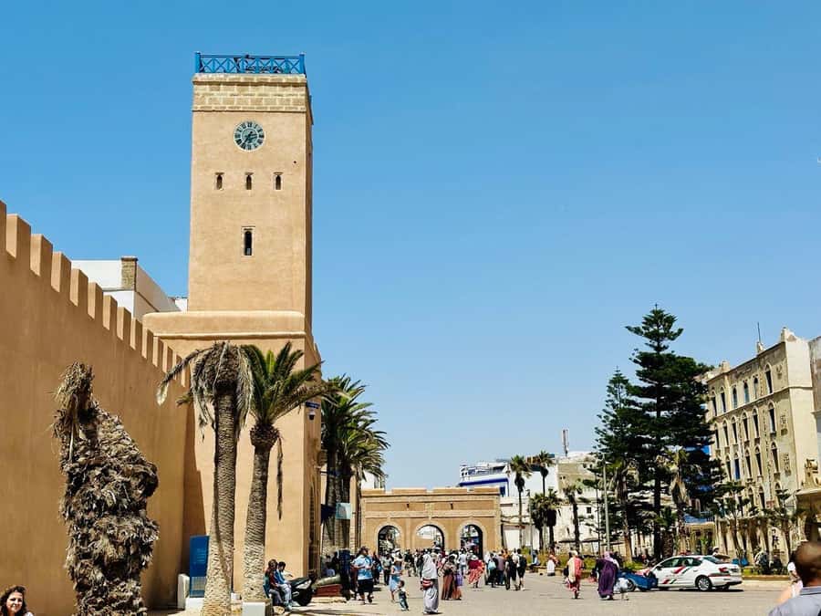 From Marrakech: Essaouira day Trip with camel, horse & quad - The road from Marrakech to Essaouira, comfort included