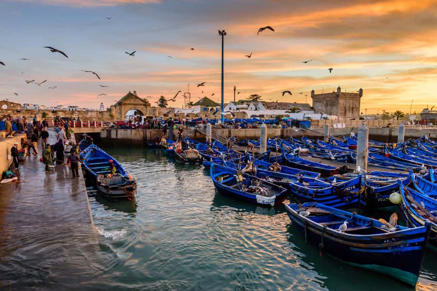 From Marrakech: Essaouira Day Trip with Hotel Pickup - Art galleries, Thuya wood crafts, and what to look for while you browse