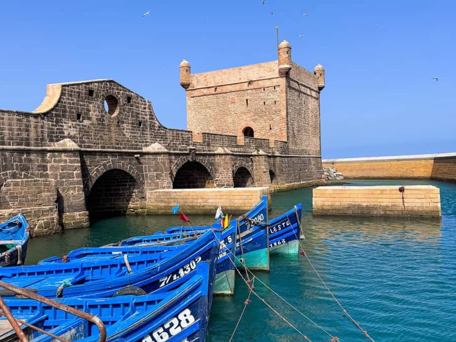 From Marrakech: Essaouira Full day trip, beach and History - Key Points You Should Care About
