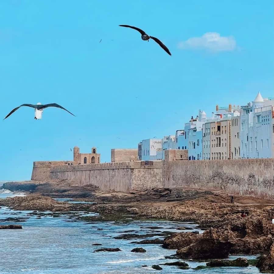 From Marrakech: Essaouira Full day trip, beach and History - What to Bring (And What to Skip) for a Sun-Wind Coast Day