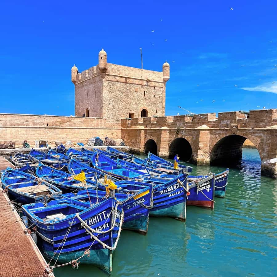 From Marrakech: Essaouira Full day trip, beach and History - Why Essaouira Works as a Marrakech Escape