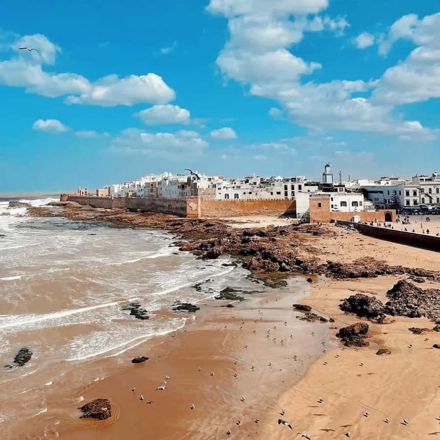 From Marrakech: Essaouira Full day trip, beach and History - Port Views and the Working Fishing Life at Essaouira’s Harbor