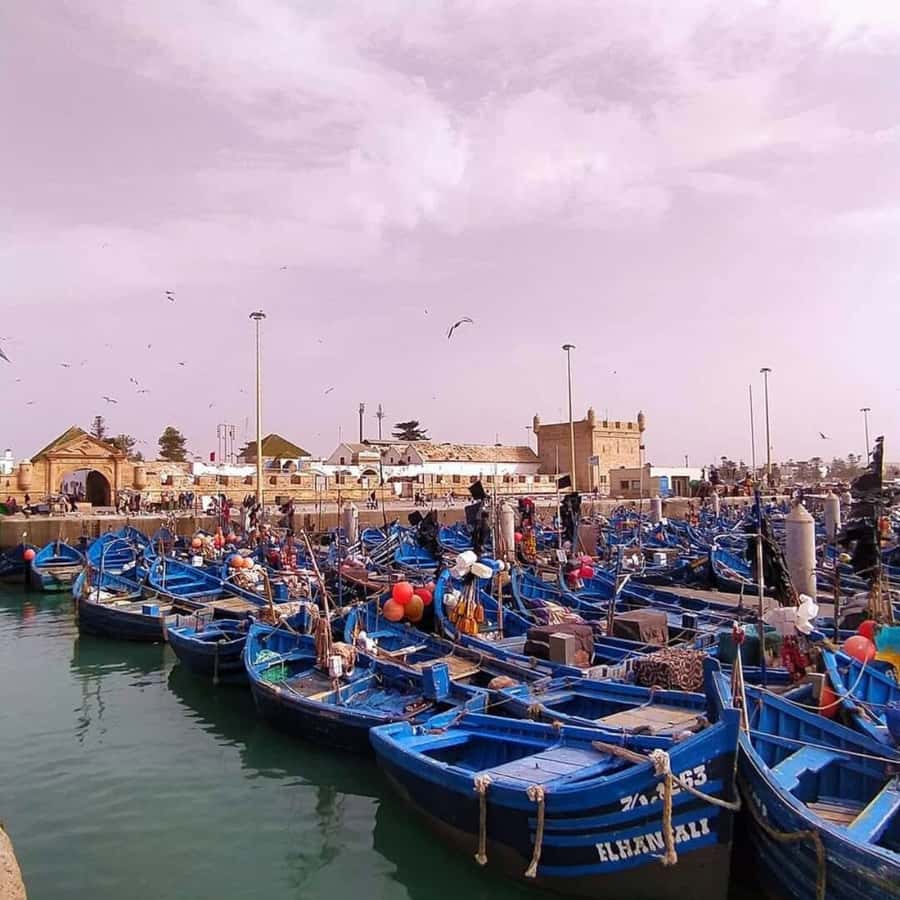 From Marrakech: Essaouira Full day trip, beach and History - Lunch Is on You, So Plan a Smart, Local Approach