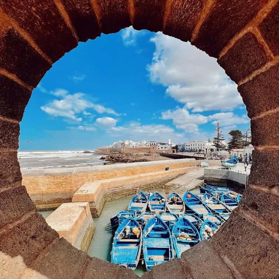 From Marrakech: Essaouira Full day trip, beach and History - Price and Value: Why This Trip Often Feels Like a Bargain