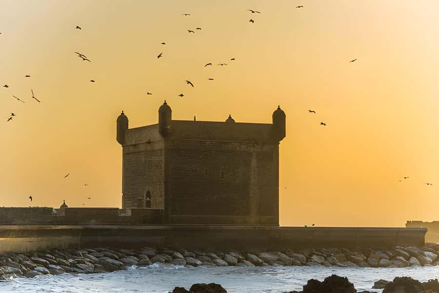 From Marrakech: Essaouira Full-Day Trip with Activities - If your route includes Essaouira: port boats, medina lanes, and Atlantic air