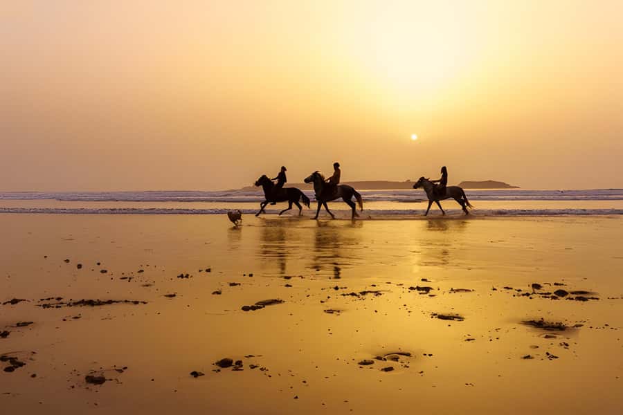 From Marrakech: Essaouira Full-Day Trip with Activities - Guides and drivers: why this trip scores so high