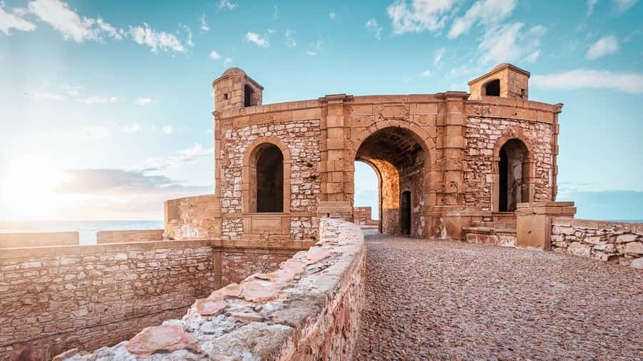 From Marrakech: Essaouira Private Full-Day Trip - Fish Market Time and Fresh Seafood You Can Actually Choose