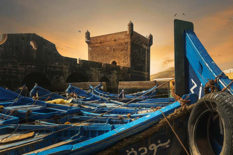 From Marrakech: Essaouira Private Full-Day Trip - Free Time on the Coast: Beaches, Camel Rides, and Surfers