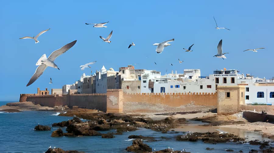 From Marrakech: Essaouira Private Full-Day Trip - Argan Trees, Drought Adaptation, and the UNESCO Angle