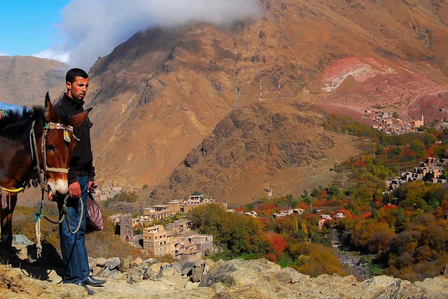 From Marrakech: Full-Day Atlas Mountain Berber Tour - Argan oil cooperative: why this stop makes the whole day feel more meaningful