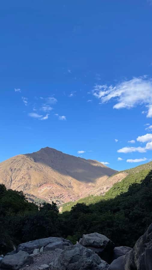 From Marrakech: Full-Day in the Atlas Mountains with Lunch - Fitness fit: who should go, who should skip