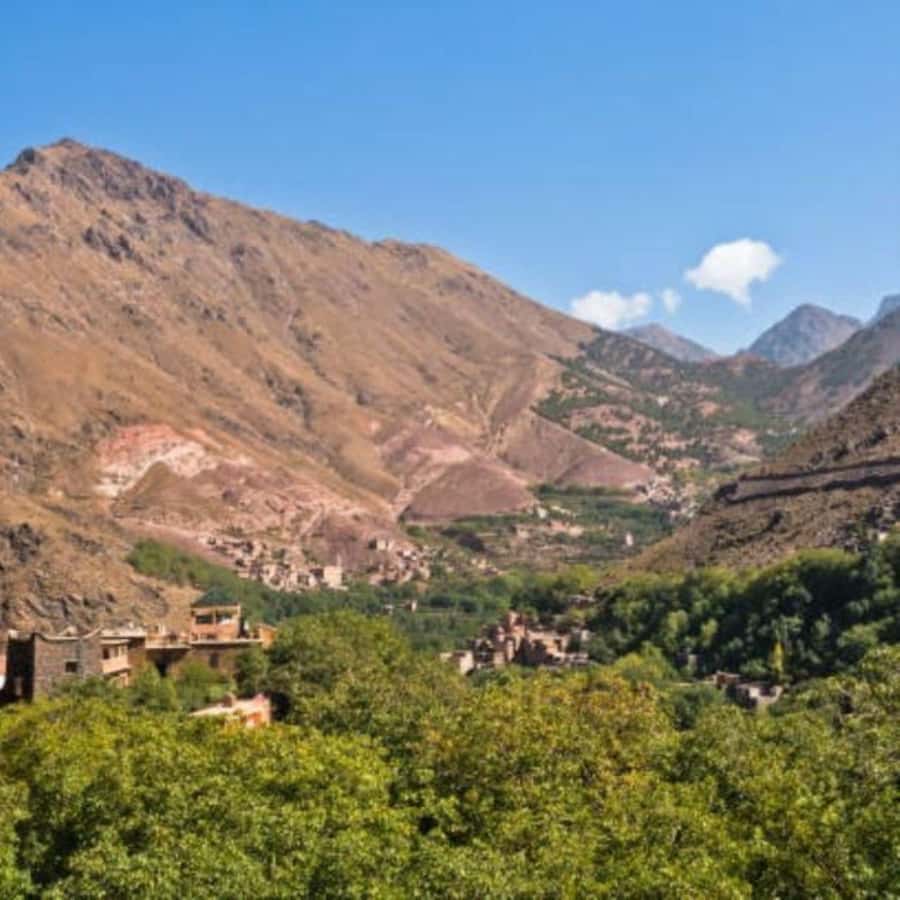 From Marrakech: Full-Day in the Atlas Mountains with Lunch - Guide and driver quality: why names keep coming up