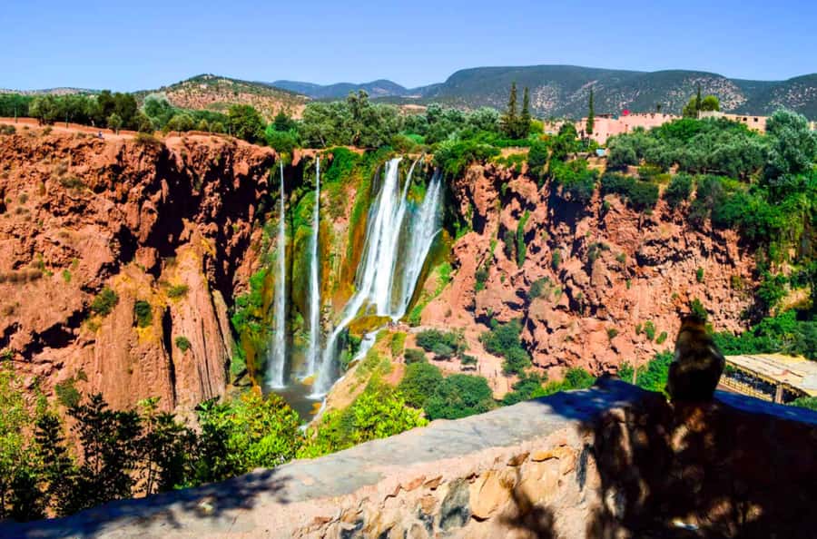 From Marrakech: Guided Ouzoud Waterfalls Tour with Boat Ride - Lunch by the waterfall: fueling up without losing the view