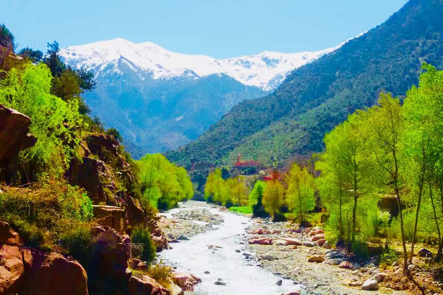 From Marrakech: Half-Day Tour to Atlas Mountains & Ourika - Key highlights