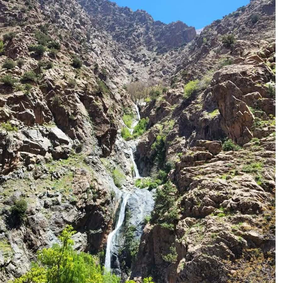 From Marrakech: Half-Day Tour to Atlas Mountains & Ourika - Ourika Valley stops, Berber villages, and the small moments that add up