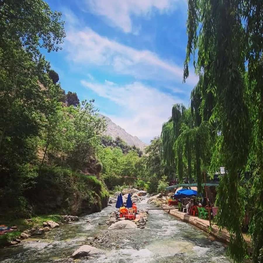 From Marrakech: Half-Day Tour to Atlas Mountains & Ourika - Traditional mint-tea breakfast with argan oil, what you should taste and why