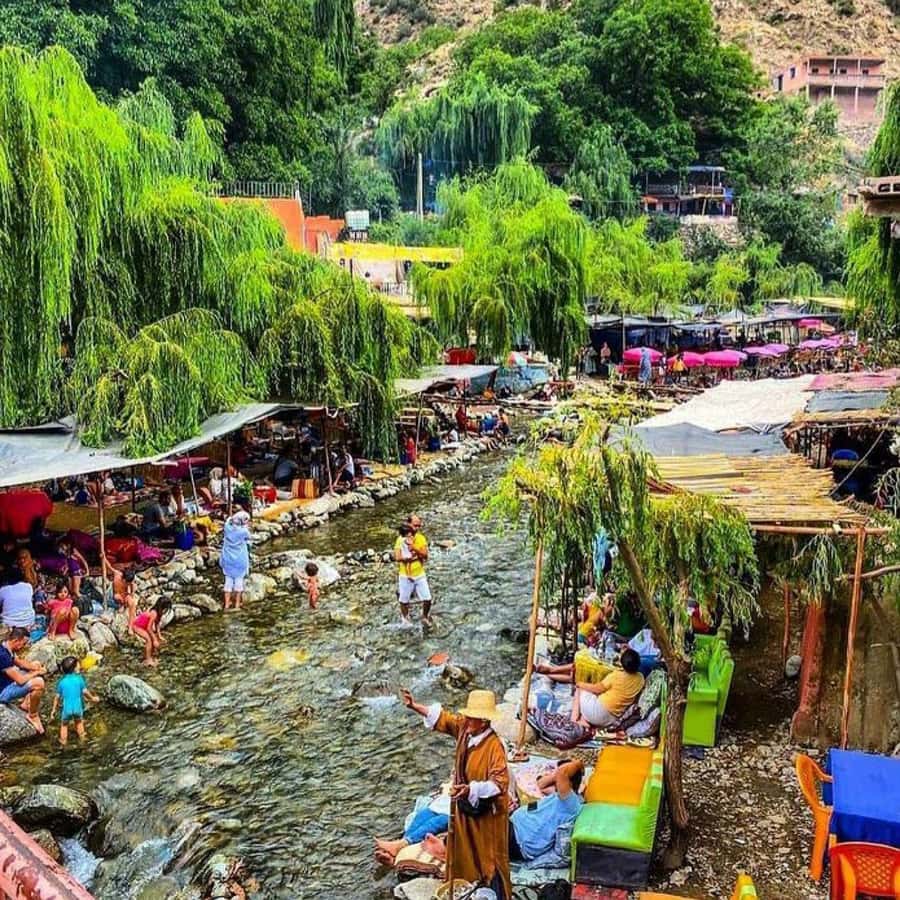 From Marrakech: Half-Day Tour to Atlas Mountains & Ourika - Who should book this Atlas and Ourika trip