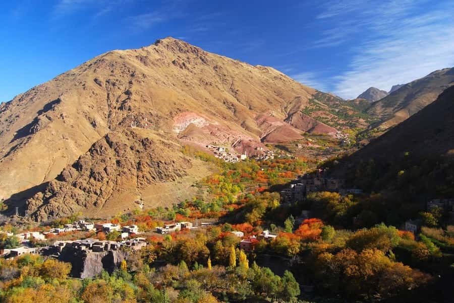 From Marrakech: High Atlas Berber Cooking Class - Key things to know before you go