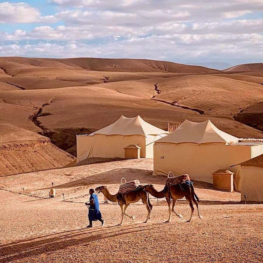 From Marrakech: High Atlas Mountains and 4 Valleys Day Trip - Imlil Valley waterfalls and the guided one-hour walk