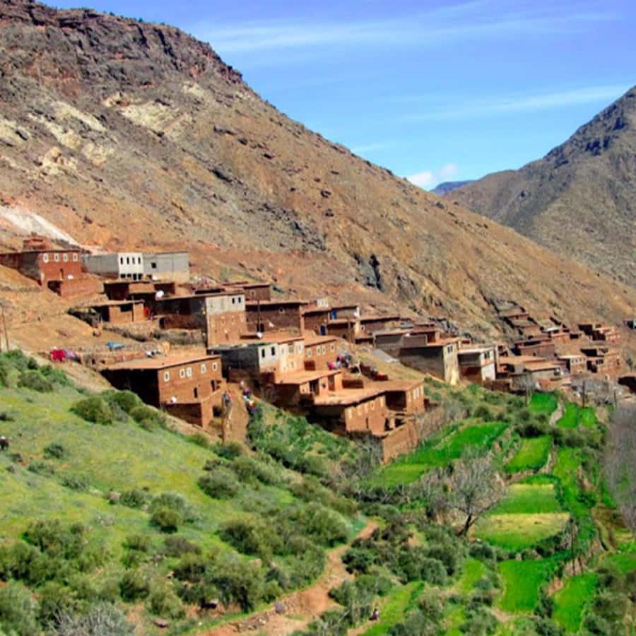 From Marrakech: High Atlas Mountains and 4 Valleys Day Trip - Argan oil with Berber women: learning extraction up close