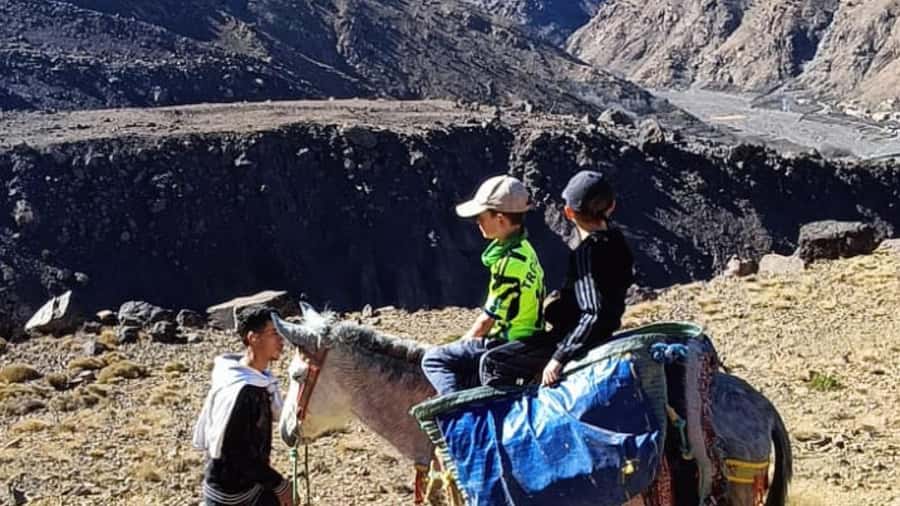 From Marrakech: Imlil Day Trip & lunch in Local Family house - How Flexible Is This Trek, Really? Fitness Level, Kids, and Mule Options