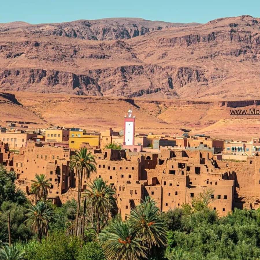 From Marrakech: Ouarzazate & Ait Benhaddou Guided Day Trip - Quick hits you can plan around