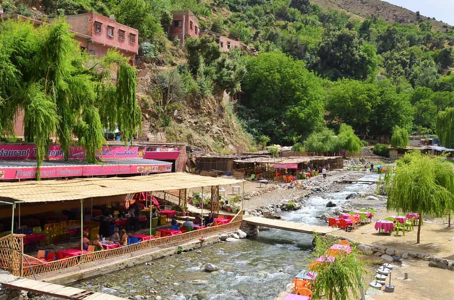 From Marrakech: Ourika Valley & Atlas Mountains Waterfalls - Key Highlights You’ll Actually Care About