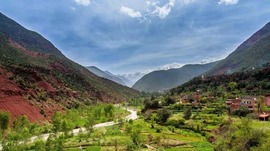 From Marrakech: Ourika Valley & Atlas Mountains Waterfalls - Argan Oil at a Berber Women’s Cooperative: What You’ll Actually Learn
