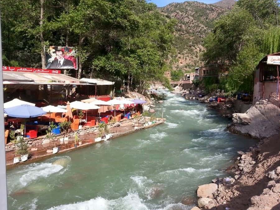 From Marrakech: Ourika Valley & Atlas Mountains Waterfalls - Setti Fatma and the Seven Waterfalls Hike (Where the Day Gets Real)