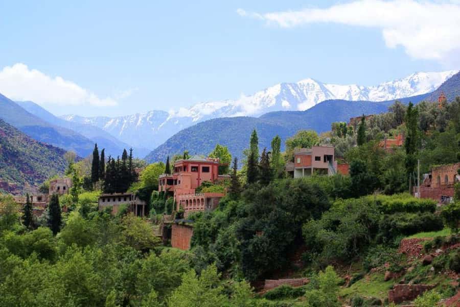 From Marrakech: Ourika Valley & Atlas Mountains Waterfalls - Time, Pace, Transport, and Group Size: The Hidden Value