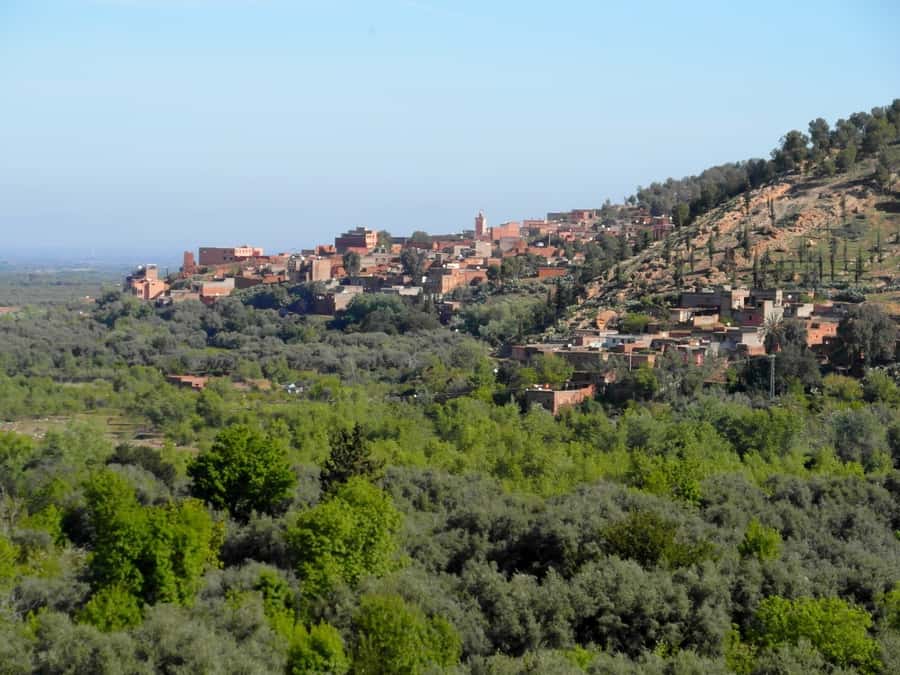 From Marrakech: Ourika Valley & Atlas Mountains Waterfalls - What to Pack and How to Choose This Trip for Your Body