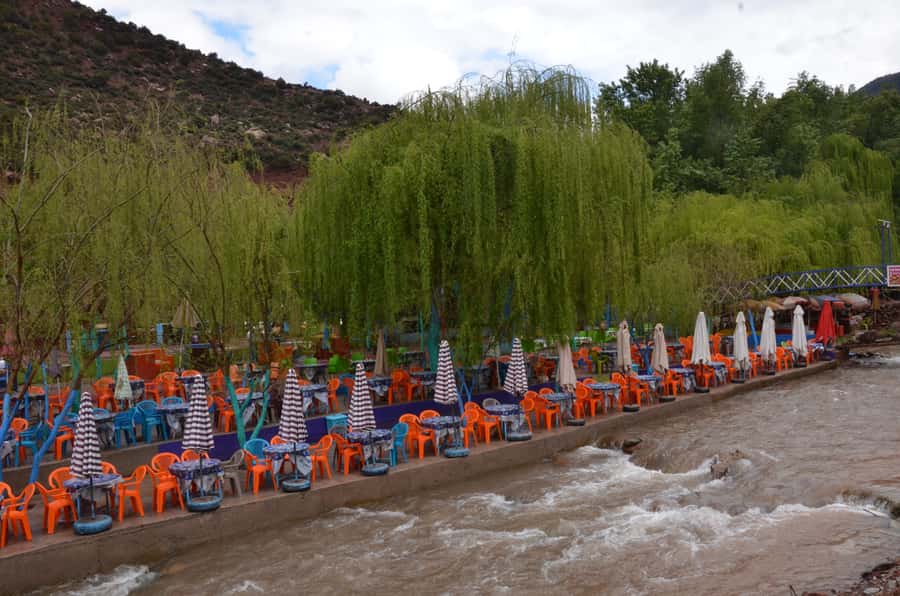 From Marrakech: Ourika Valley Day Trip with Lunch - Key Highlights You Should Care About