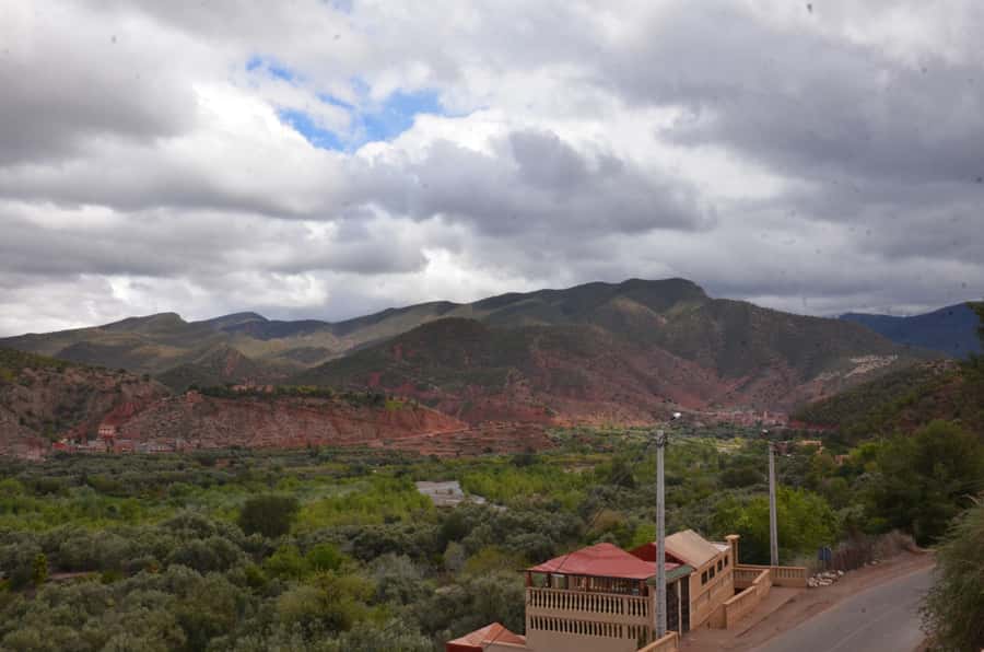 From Marrakech: Ourika Valley Day Trip with Lunch - Ourika Village Life: Tea With a Berber Family, Then Lunch