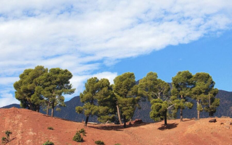 From Marrakech: Ourika Valley Tour with Lunch & Camel Ride - Setti Fatma waterfalls: the day’s big “wait, that’s real” moment