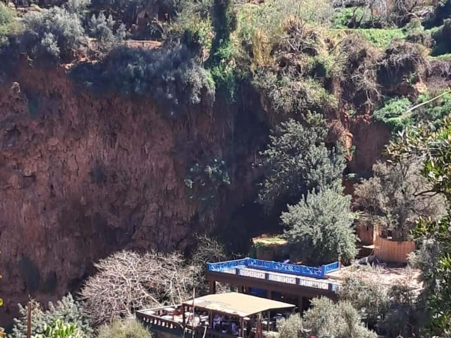 From Marrakech:Ouzoud Waterfalls Day Trip with Boat Tour - Monkeys at Ouzoud: cute, close, and hands-off