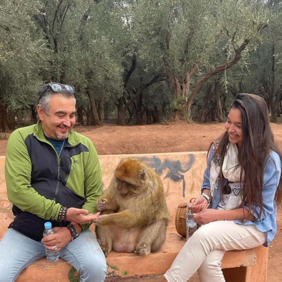 From Marrakech: Ouzoud Waterfalls Guided hike & boat Ride - Late Berber lunch overlooking the falls: what to budget and how to make it work