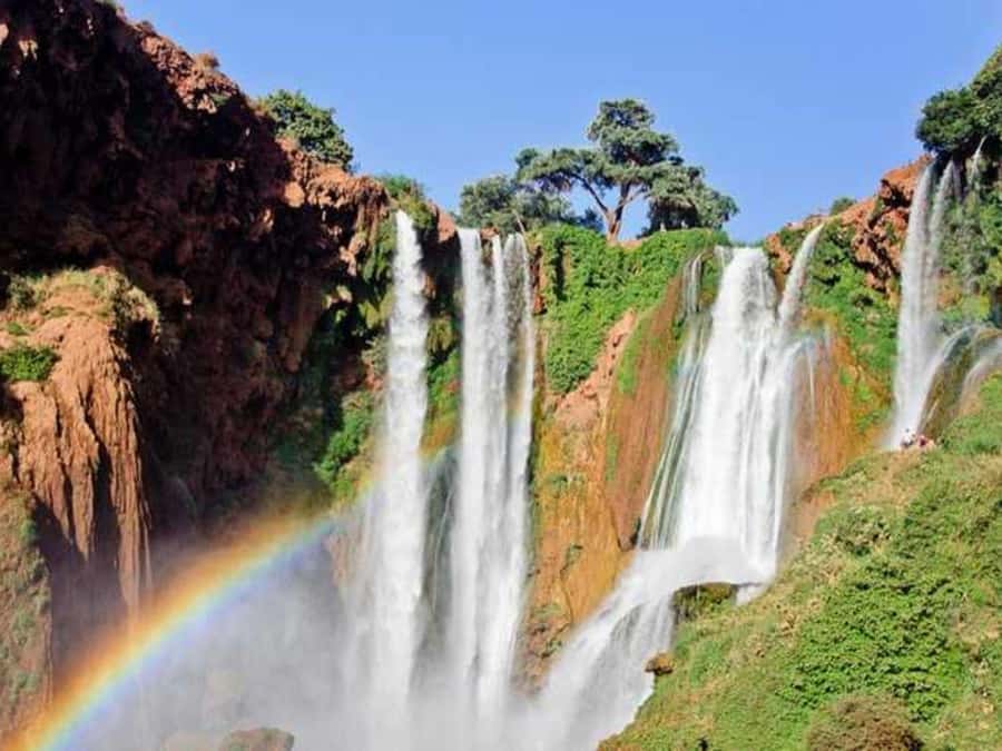 From Marrakech: Ouzoud Waterfalls Guided Trip with Boat Ride - The Big Wins You’ll Feel Right Away