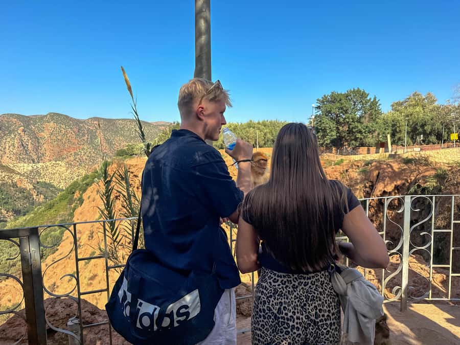 From Marrakech: Ouzoud Waterfalls Guided Trip with Boat Ride - Ouzoud Waterfalls: The View That Makes the Whole Day Worth It
