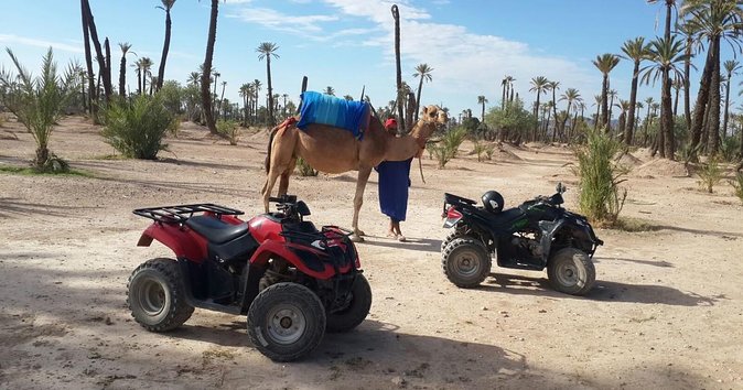 From Marrakech: Palm Grove Quad Bike and Camel Ride Tour - Key highlights worth planning around