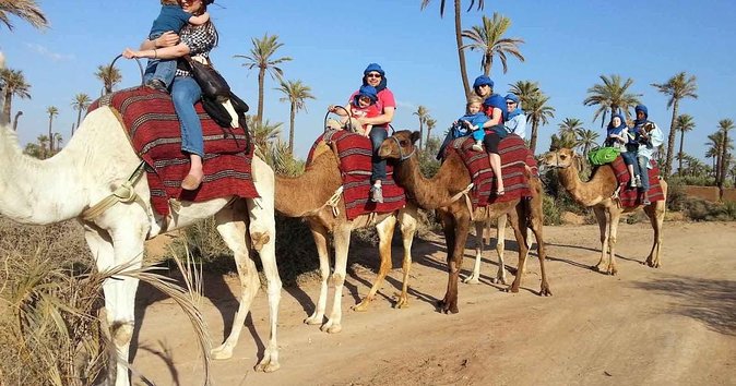From Marrakech: Palm Grove Quad Bike and Camel Ride Tour - Why a Palmeraie quad ride feels different in Marrakech