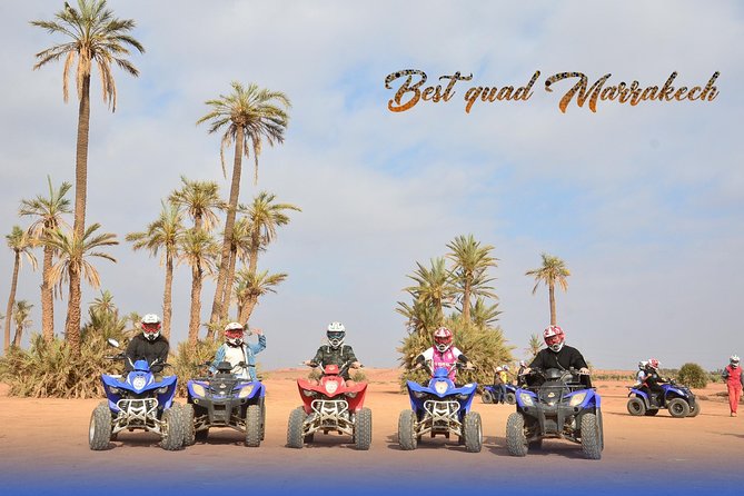 From Marrakech: Palm Grove Quad Bike and Camel Ride Tour - Tea in a bivouac: why the pause is the cultural anchor