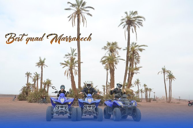 From Marrakech: Palm Grove Quad Bike and Camel Ride Tour - Who should book this quad and camel tour