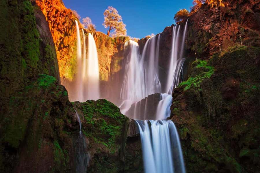From Marrakech: Private Ouzoud Falls & Boat Ride Day Trip - Key highlights you’ll actually feel