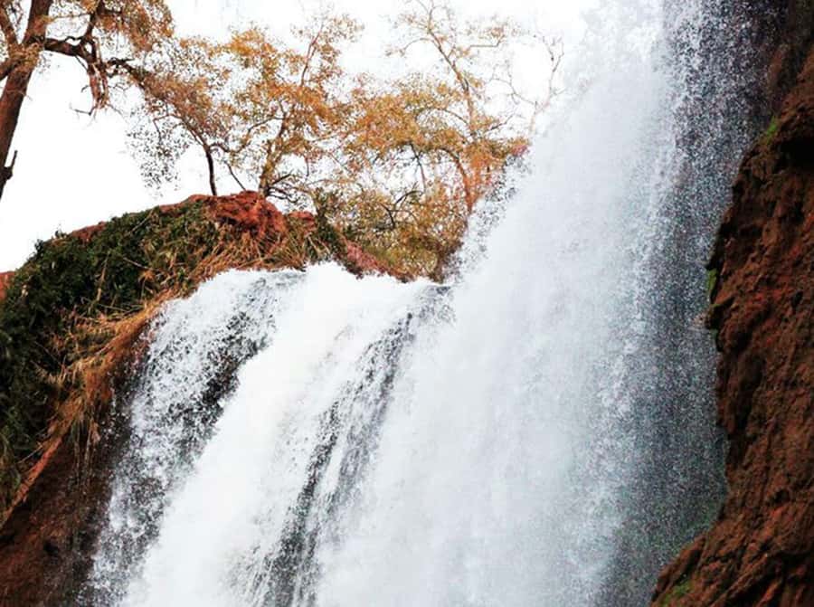 From Marrakech: Private Ouzoud Falls & Boat Ride Day Trip - Lunch with a view: how to make this stop feel worth your time