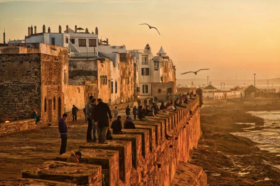 From Marrakech: small group Day Trip To Essaouira Mogador - Beach Break on Essaouira’s Sand and Surf