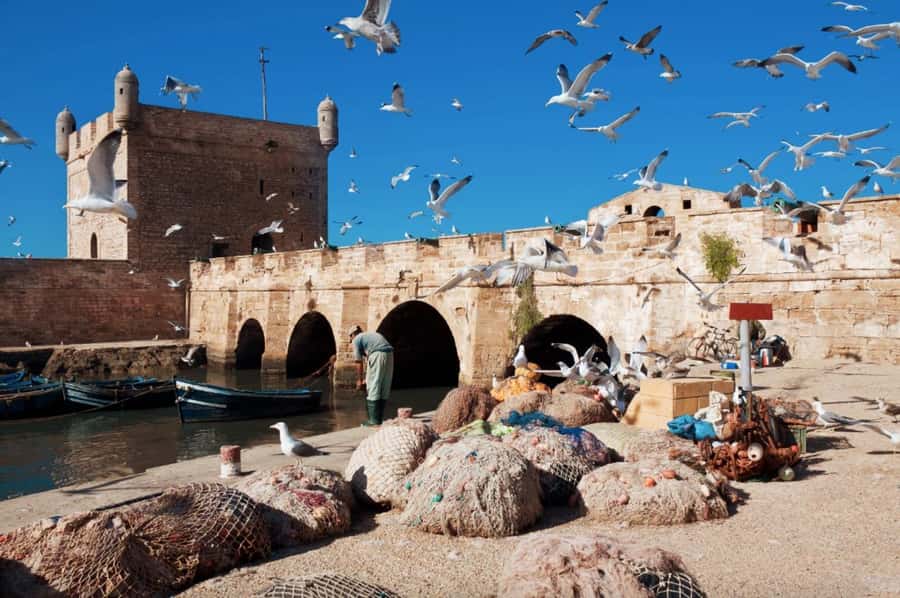From Marrakech: small group Day Trip To Essaouira Mogador - The Skala Café Pausa Stop and Why the Seafront Ramparts Matter
