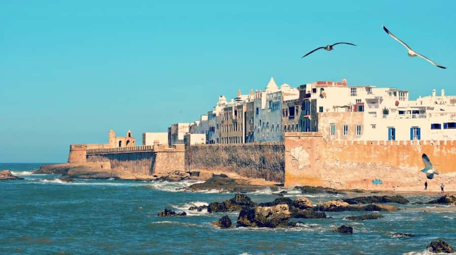 From Marrakech: small group Day Trip To Essaouira Mogador - Lunch and Seafood Timing: How to Eat Well Without Stress